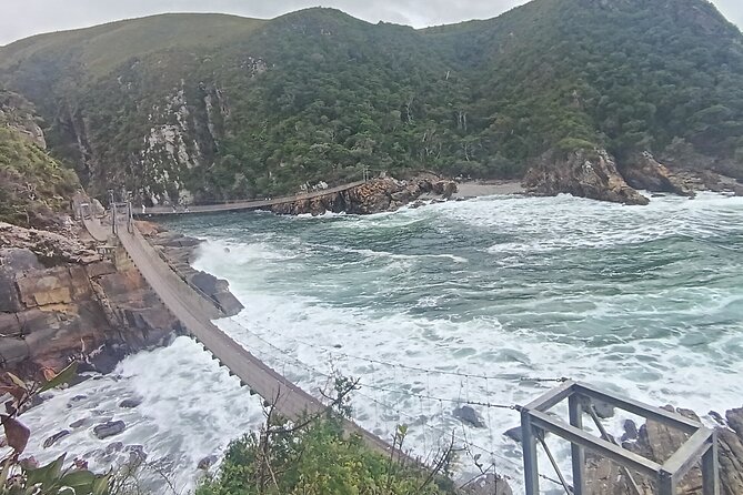 1 Day Garden Route Tour: From Port Elizabeth to the Crags - Birds of Eden is the calmer second wildlife stop
