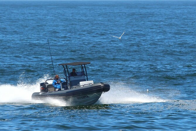 1 Day Whale Watching at Yzerfontein - Why Yzerfontein is worth the early start