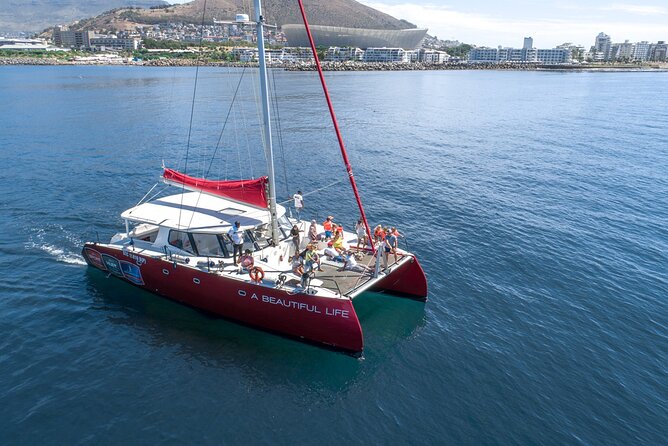 1- Hour Catamaran Cruise Cape Town - Leaving the V&A Waterfront for Table Bay