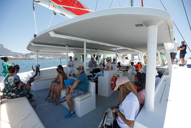 1- Hour Catamaran Cruise Cape Town - What the one-hour ride feels like onboard