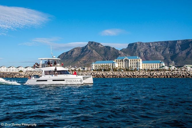 1 Hour Coastal Catamaran Cruise from Cape Town - What the one-hour length really means