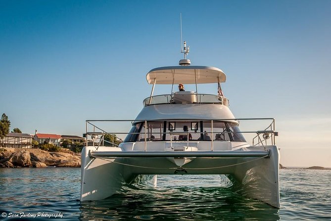 1 Hour Coastal Catamaran Cruise from Cape Town - Music, drinks, and the feel on board