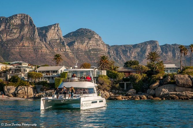 1 Hour Coastal Catamaran Cruise from Cape Town - Waves, motion, and comfort