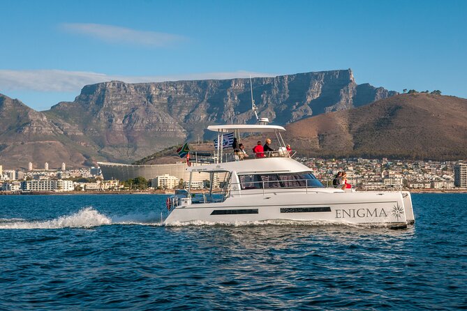 1 Hour Coastal Catamaran Cruise from Cape Town - Leaving the V&A Waterfront