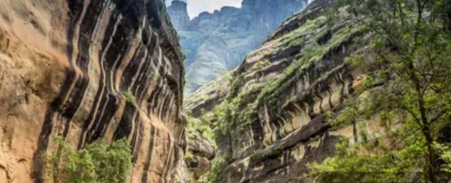 10 Day South Africa Tour Joburg to Cape Town - Durban adds beaches and city life