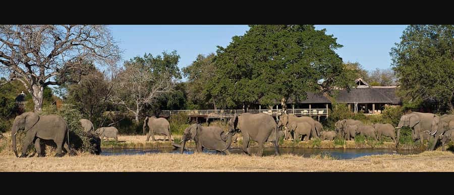 10 Day South Africa Tour Joburg to Cape Town - Hermanus, Benguela Cove, and Betty’s Bay