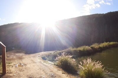 100 % Catch Rate Cape Town Wild Tours