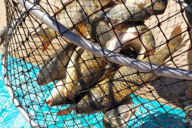 100 % Catch Rate Cape Town Wild Tours - The drawbacks you should weigh before booking