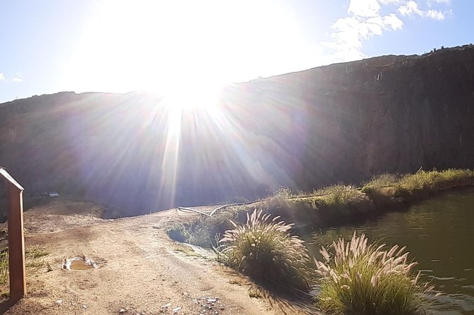 100 % Catch Rate Cape Town Wild Tours - African catfish, shy carp, and the wildlife between casts