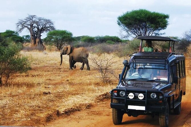 13 Day Safari - Cape Town to Johannesburg - R62 wine country and the first look at Oudtshoorn