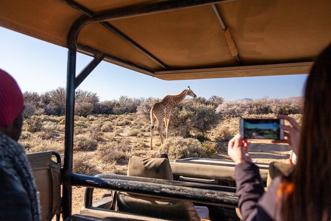 2 Day Inverdoorn Luxury Safari - From Cape Town to the Ceres fruit valley