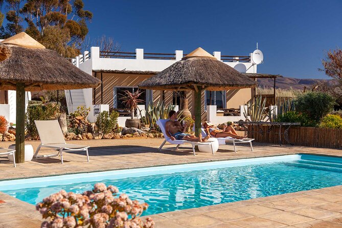 2 Day Inverdoorn Luxury Safari - Breakfast, the cheetah center, and the ride home