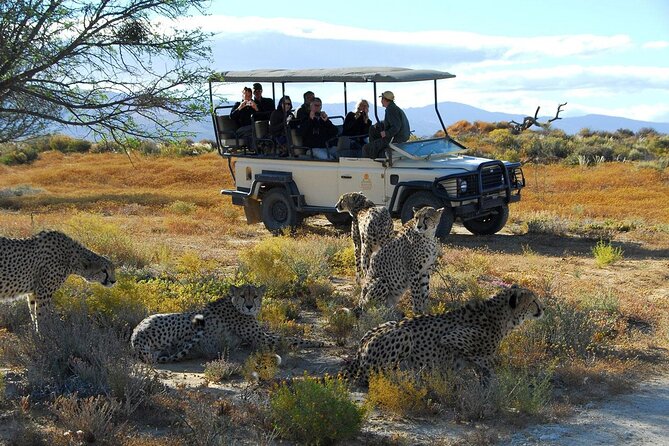 2 Day Inverdoorn Luxury Safari - Arrival, lunch, and a quiet afternoon at Inverdoorn