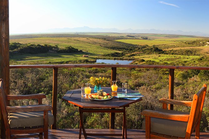 2 Day Safari Experience from Cape Town - Overnight at the lodge