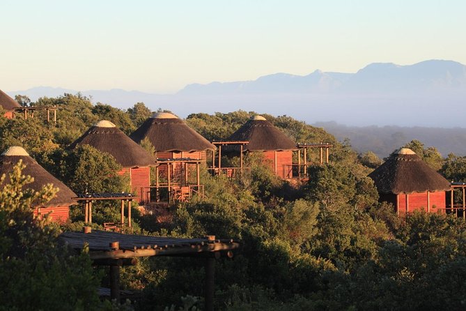 2 Day Safari Experience from Cape Town - Day 1: Cape Town to Cape Agulhas