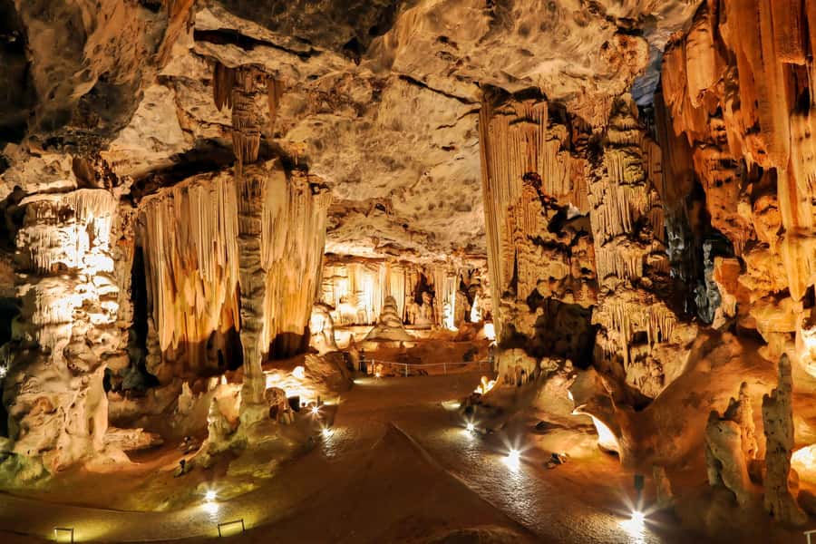 2 Day Small Group Cape Town: Garden Route Big 5 Safari Tour - Key points at a glance