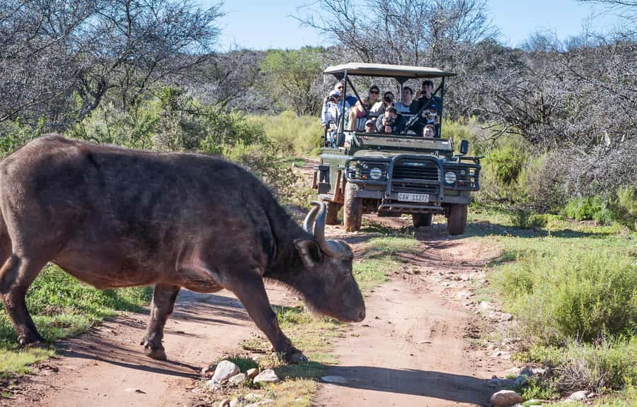 2 Day Small Group Cape Town: Garden Route Big 5 Safari Tour - The early road to Oudtshoorn