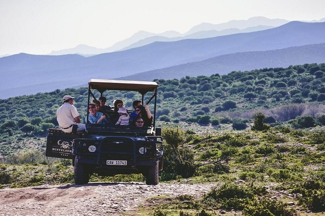 2 Day South African Wildlife Tour with 4x4 Safari from Cape Town - Buffelsdrift and a different kind of bush drive