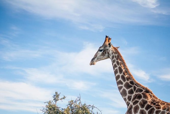 2 Day South African Wildlife Tour with 4x4 Safari from Cape Town - The long return along Route 62