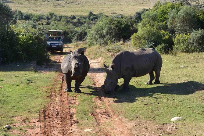 2 Day Wild Heart Western Cape Safari Tour with Private Transfers - Oudtshoorn and the dry Klein Karoo
