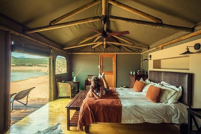 2 Day Wild Heart Western Cape Safari Tour with Private Transfers - Route 62 turns the return journey into part of the tour