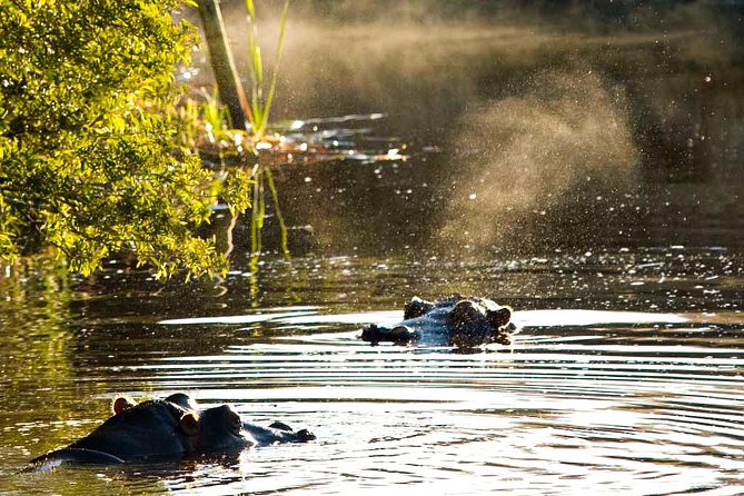 2-Hour Game Drive at the Plettenberg Bay Game Reserve - What the two-hour drive is really like