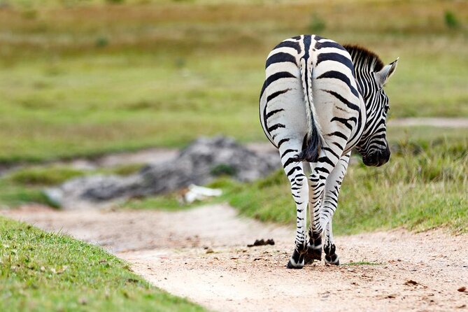 2hr Guided Game Drive at 10h00; Kragga Kamma Game Park Ticket - Key points to know before booking