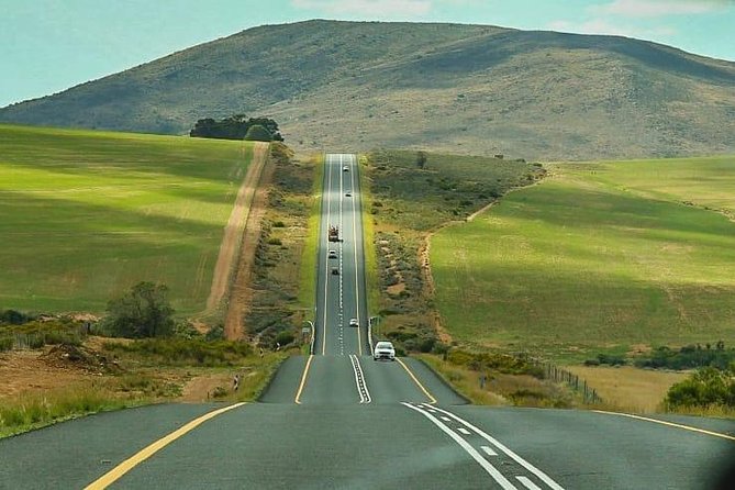 3 Day Big 5 and Bungee Tour - Garden Route Small Group Tour from Cape Town - The guides can make or break this fast schedule