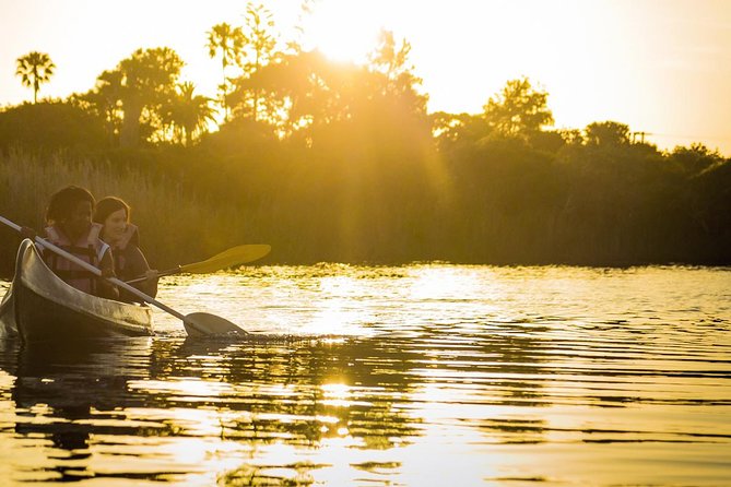 3 Day Garden Route Highlights and Safari with Private Transfers - Day 2: Elephants, forests, canoes, and the Bloukrans Bridge