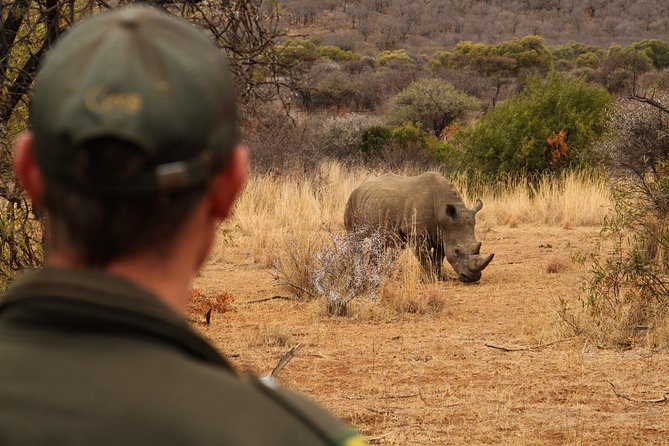 3 Day Garden Route Highlights and Safari with Private Transfers - Private transport, shared activities, and trip pace