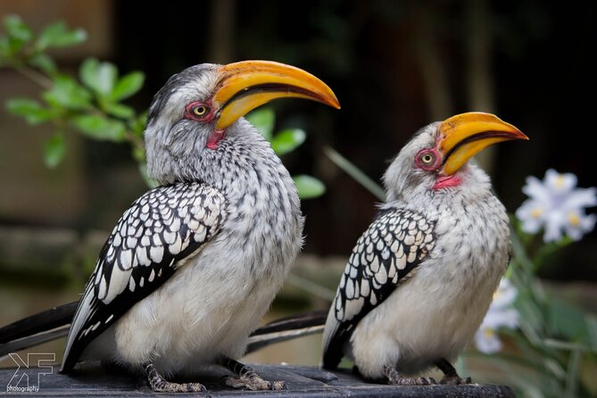 3 Day Garden Route Private Tour - Day 3: Forest, sea, birds, and wildlife centers