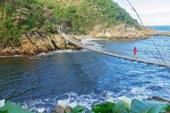 3 Day Garden Route's Best Highlights with Safari from Cape Town - Bloukrans Bridge and the choice to jump