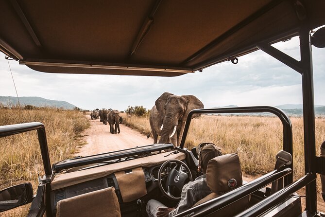 3 Day Garden Route Tour - Day One: Route 62, Cango Caves, and Oudtshoorn Ostriches