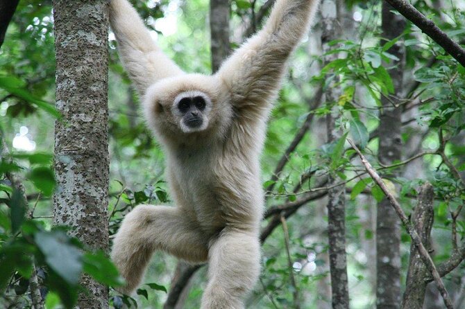 3 Day Garden Route Tour - Day Two: Knysna Heads and the Animal Sanctuaries