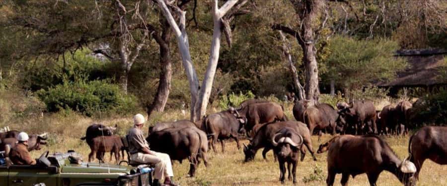 3 Day Hluhluwe & Isimangaliso Wetlands Pk Tour from Durban - Why this route works from Durban