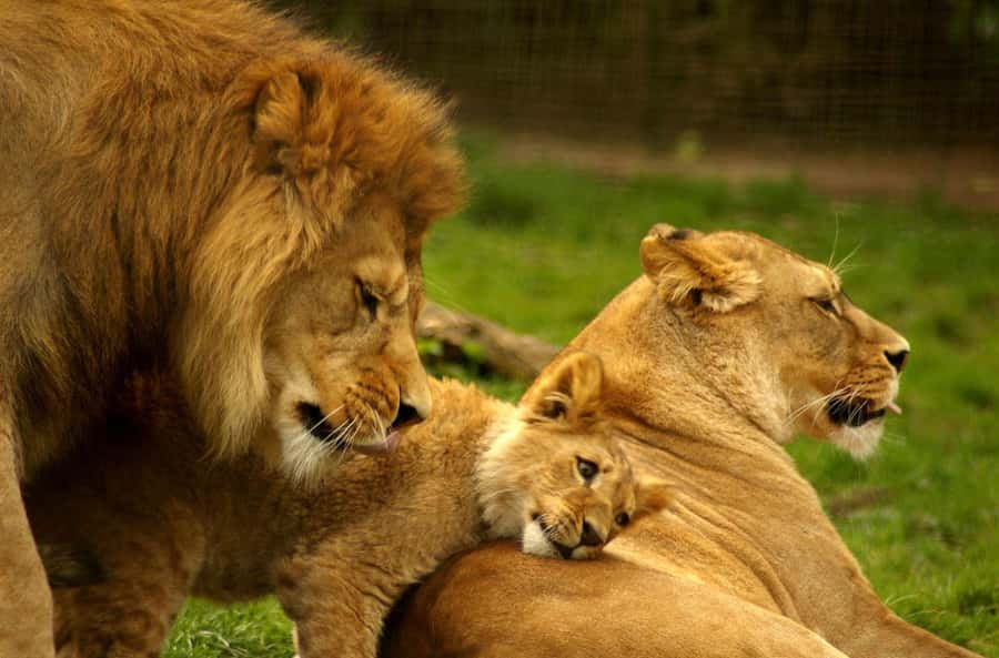 3 Day Hluhluwe & Isimangaliso Wetlands Pk Tour from Durban - Dukuduku and the wider iSimangaliso system