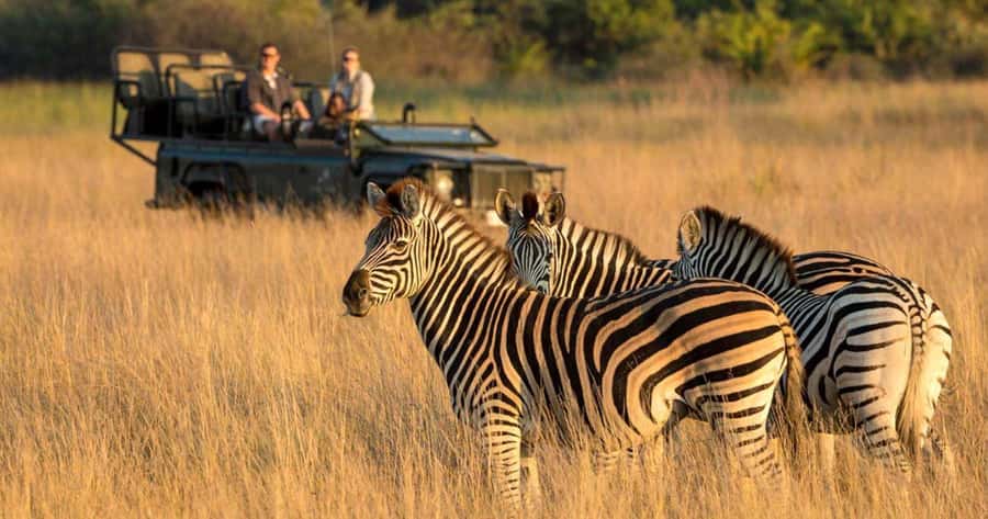 3 Day Hluhluwe & Isimangaliso Wetlands Pk Tour from Durban - What the $840 price includes
