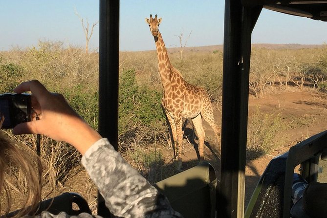 3-Day Kruger National Park Open Vehicle Safari - Day one: entering Kruger and beginning the search
