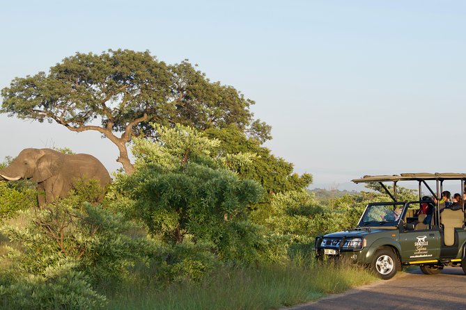 3-Day Kruger National Park Safari including Breakfast and Dinner - What to pack for Kruger