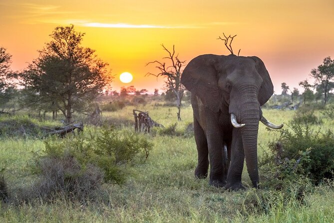 3 Day Kruger National Park Safari & Panorama Route - Day one: Panorama scenery and a Kruger sunset