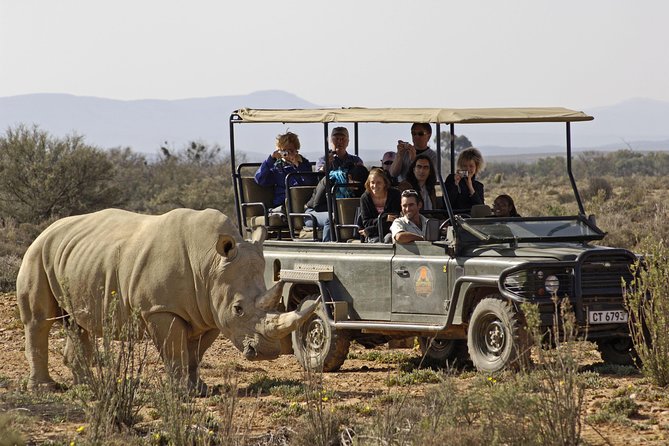 3 Day Luxury Aquila Private Game Reserve - Who should book this three-day stay?