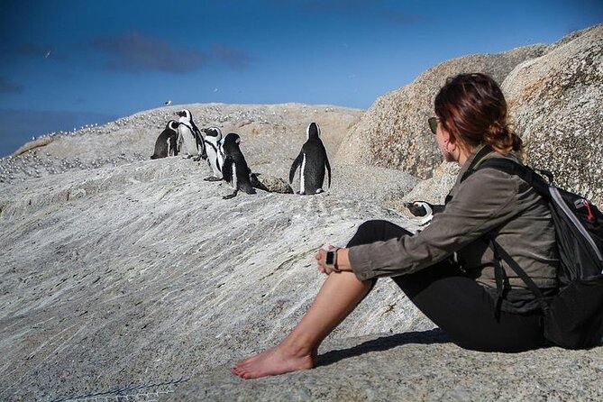 3-Day Private Guided Tour to Cape Town Top Attractions - Who will get the most from this tour