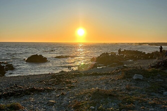 3 Day Safari and Coastal Tour from Cape Town - Who Should Book This Tour