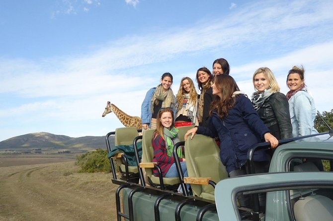 3 Day Wildlife Safari Tour - Garden Route Small Group Tour from Cape Town - What this three-day route is really like
