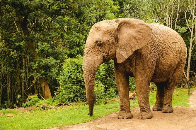 3 Day Wildlife Safari Tour - Garden Route Small Group Tour from Cape Town - Sedgefield and the practical side of the overnight stay