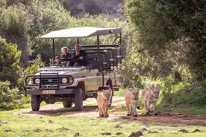 3 Days 2 Nights Garden Route Private Tour from Cape Town - Why this three-day route works