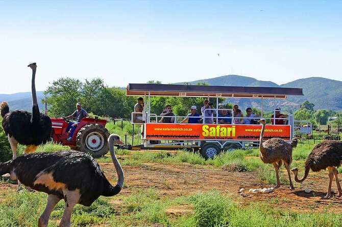 3 Days 2 Nights Garden Route Private Tour from Cape Town - What the $939.85 price really covers