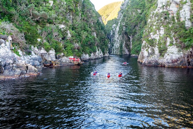 3 Days 2 Nights Garden Route Private Tour from Cape Town - Should you book it?