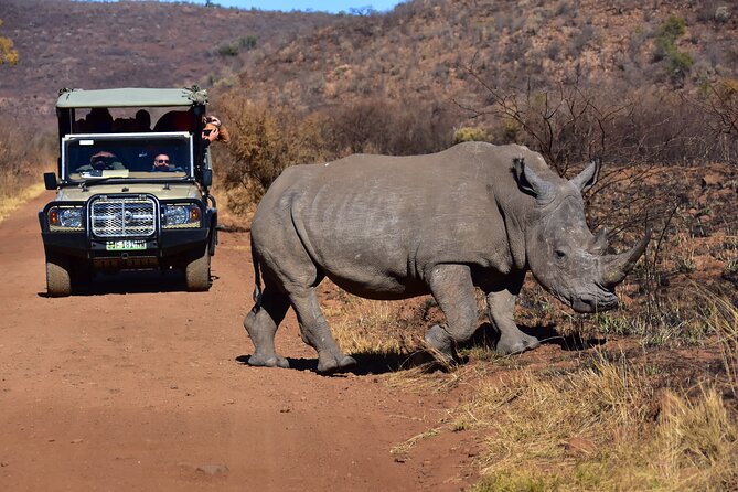 3-Hour Private Game Drive of Pilanesberg National Park - Who will enjoy this safari most?