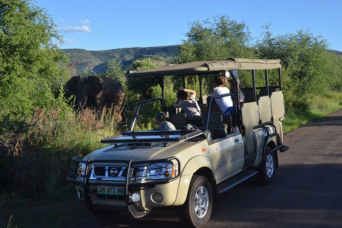 3-Hour Private Game Drive of Pilanesberg National Park - Three hours inside Pilanesberg National Park